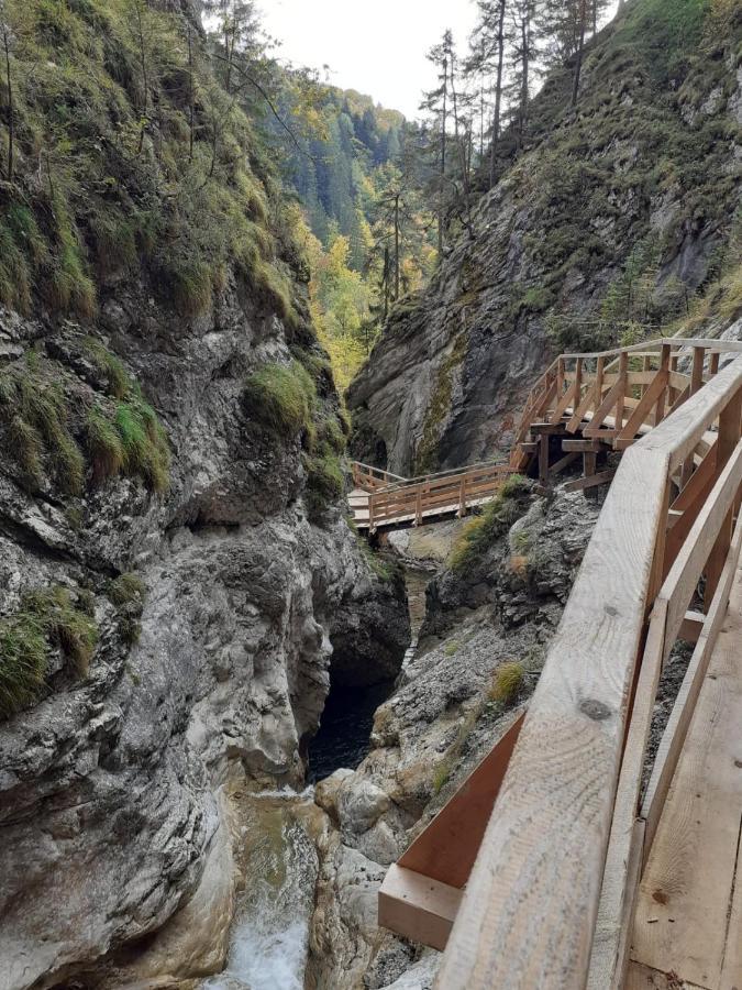Steinerhaus Berggasthof Grobming Dış mekan fotoğraf