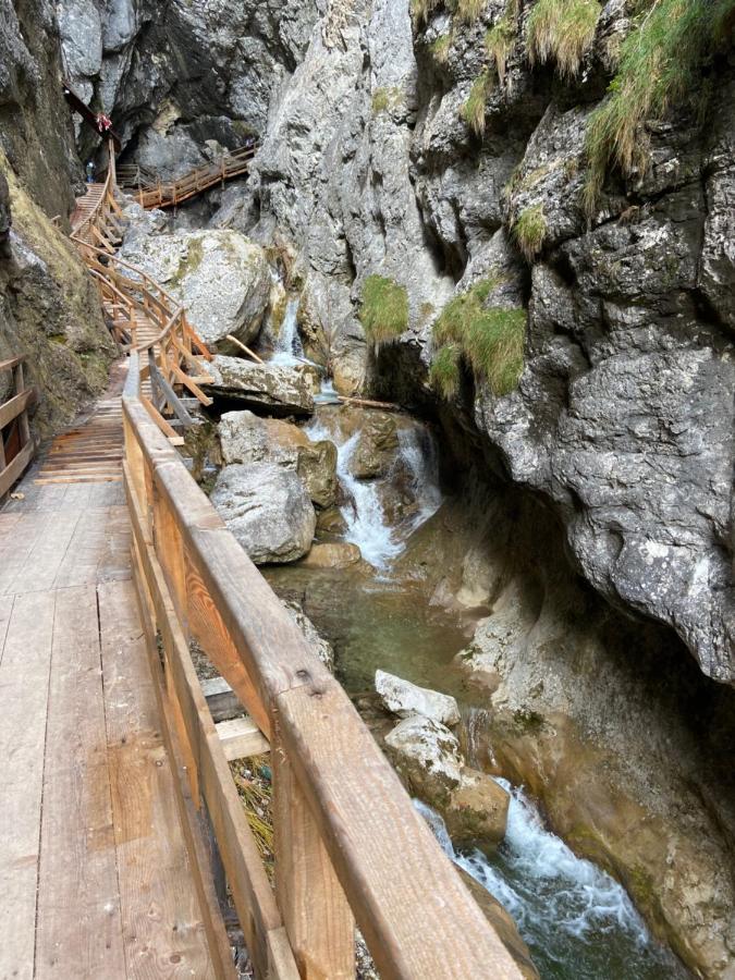 Steinerhaus Berggasthof Grobming Dış mekan fotoğraf